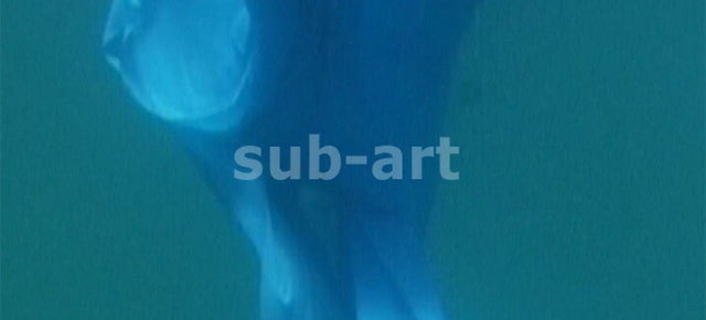 sub-art